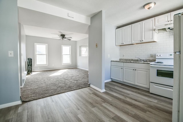 kitchen with baseboards, a sink, a ceiling fan, white electric range oven, and backsplash