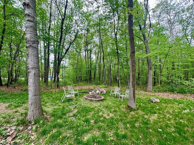 12124 County Road 118, Merrifield, MN 56465 - view of yard featuring a fire pit