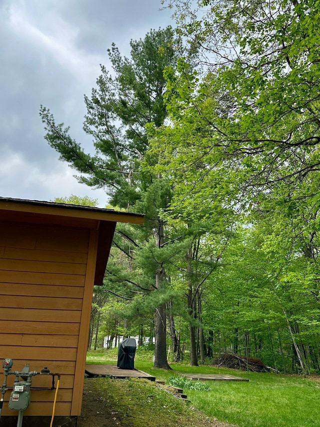 12124 County Road 118, Merrifield, MN 56465 - view of yard