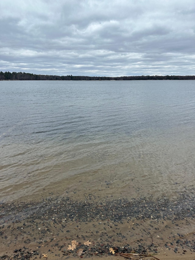 12124 County Road 118, Merrifield, MN 56465 - water view