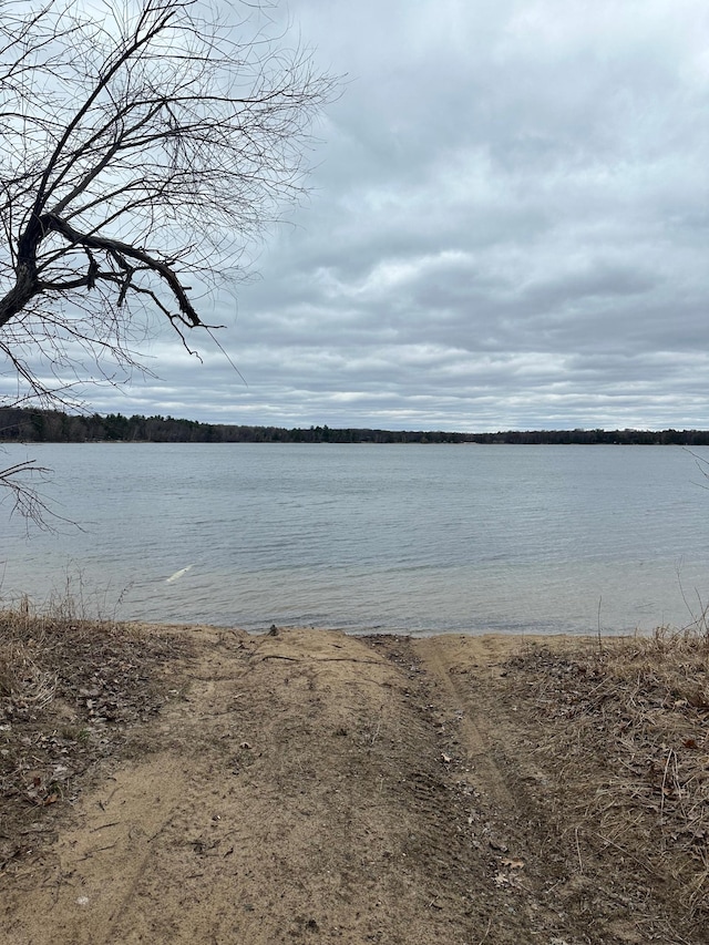 12124 County Road 118, Merrifield, MN 56465 - photo 38