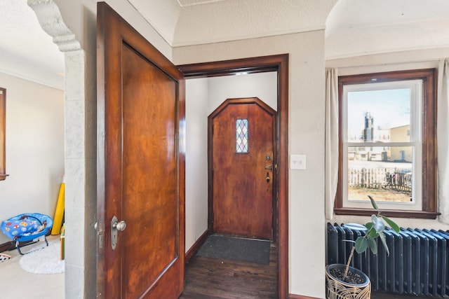 interior space featuring a wealth of natural light, radiator, and wood finished floors