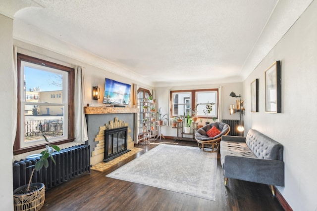 living room featuring radiator, wood finished floors, and a textured ceiling