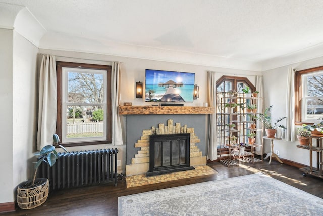 sitting room featuring radiator, wood finished floors, and a healthy amount of sunlight