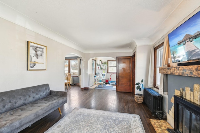 living area featuring baseboards, crown molding, radiator heating unit, arched walkways, and hardwood / wood-style flooring