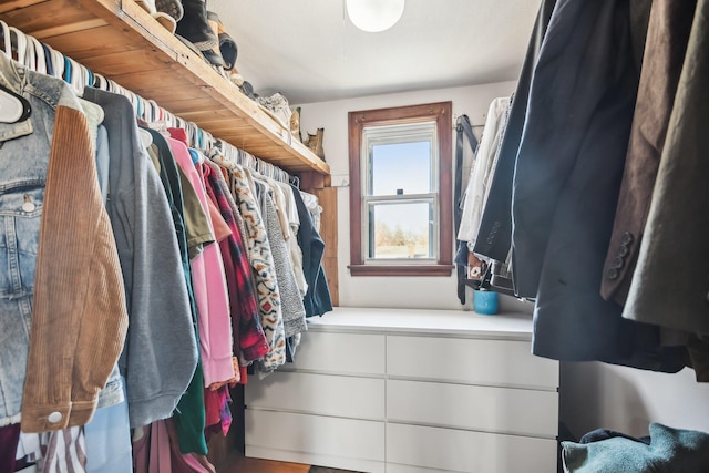 view of spacious closet