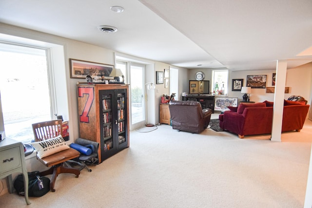 1217 Taft St E, Thief River Falls, MN 56701 - photo 45