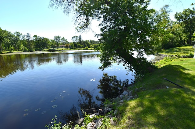 1217 Taft St E, Thief River Falls, MN 56701 - photo 65