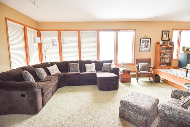 1217 Taft St E, Thief River Falls, MN 56701 - photo 17