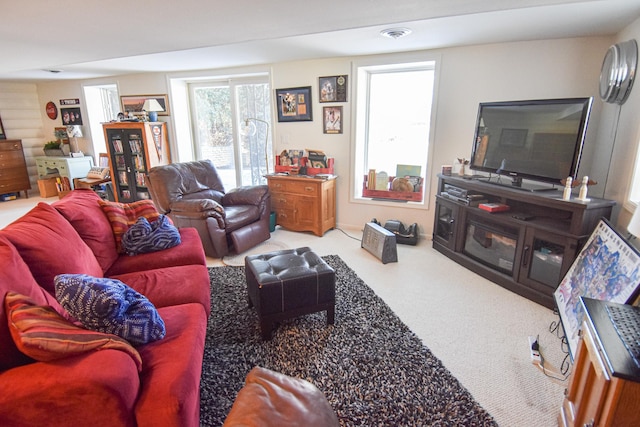 1217 Taft St E, Thief River Falls, MN 56701 - photo 44