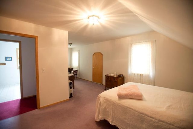 20437 County Highway 65, Henning, MN 56551 - carpeted bedroom featuring multiple windows and lofted ceiling