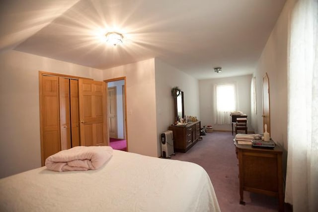 20437 County Highway 65, Henning, MN 56551 - bedroom with light carpet and a closet