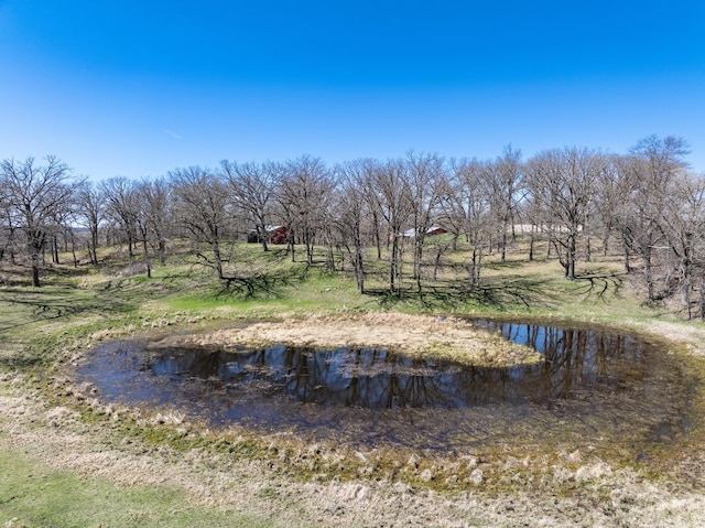 20437 County Highway 65, Henning, MN 56551 - view of yard