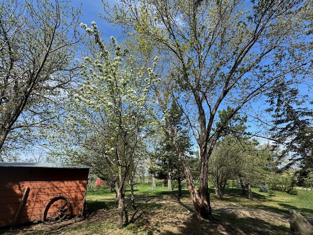 20437 County Highway 65, Henning, MN 56551 - view of yard with an outbuilding