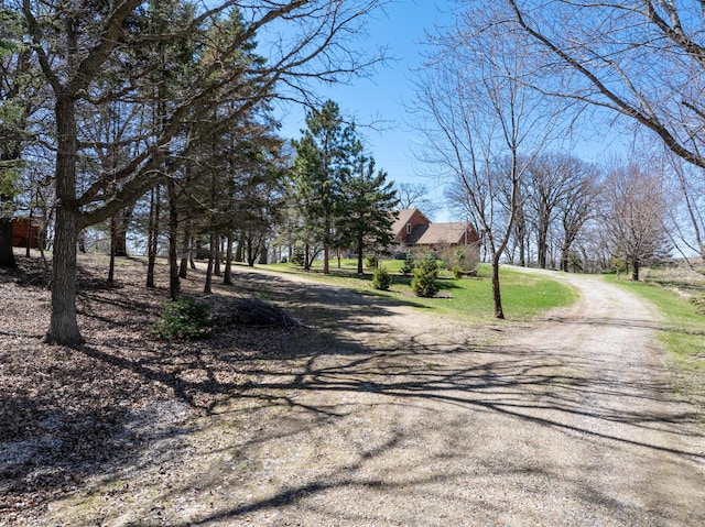 20437 County Highway 65, Henning, MN 56551 - view of dirt / gravel road