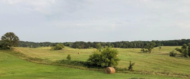 20437 County Highway 65, Henning, MN 56551 - view of grassy yard with a view of countryside