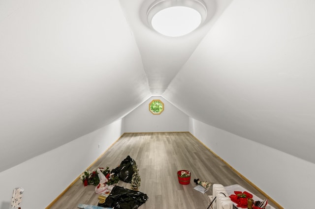 20437 County Highway 65, Henning, MN 56551 - additional living space featuring lofted ceiling and wood finished floors