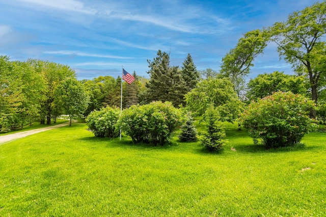 20437 County Highway 65, Henning, MN 56551 - view of grassy yard