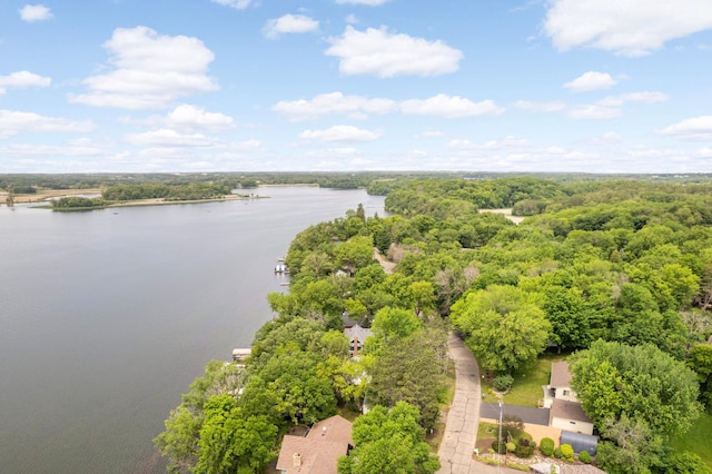 3035 Lakeshore Ave, Medina, MN 55359 - aerial view of a large body of water and a forest
