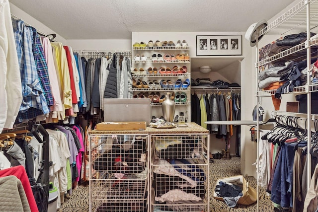 view of spacious closet