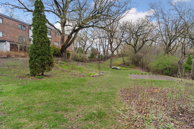 view of green lawn