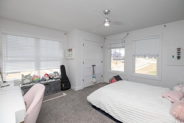 6724 Clarkia Dr NW, Rochester, MN 55901 - bedroom featuring carpet flooring, ceiling fan, baseboards, and a closet