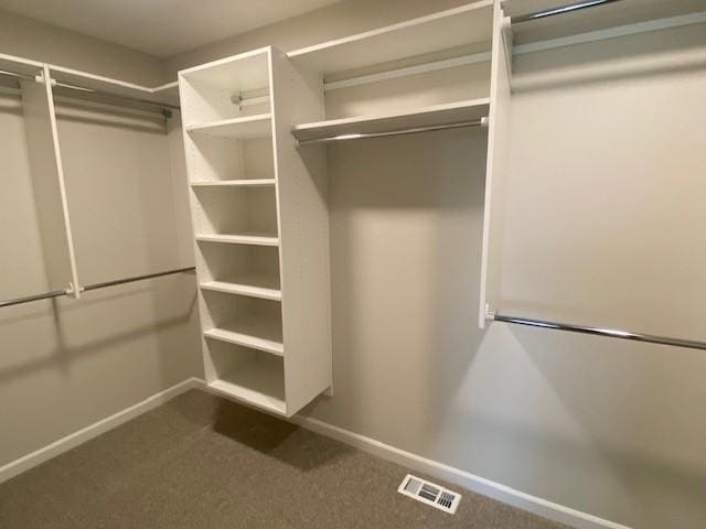 14570 Kingsview Ln N, Dayton, MN 55327 - walk in closet with dark colored carpet