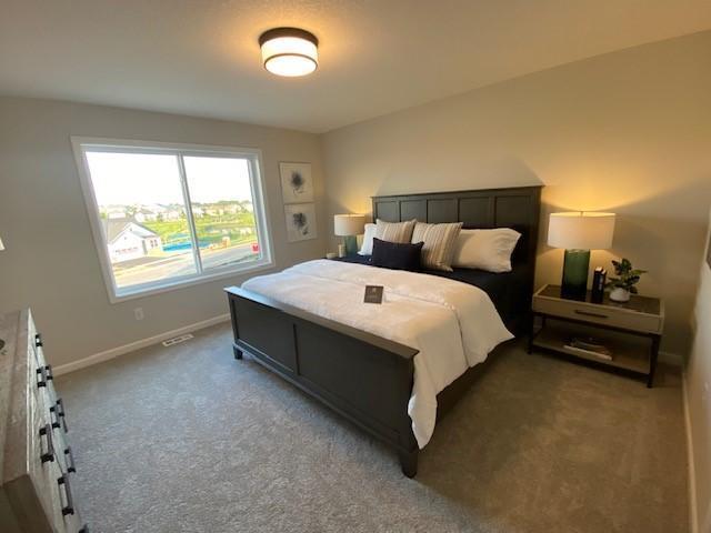 14570 Kingsview Ln N, Dayton, MN 55327 - bedroom featuring carpet floors and baseboards