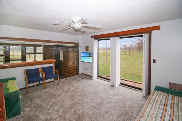 18848 223rd St, Richmond, MN 56368 - sitting room with ceiling fan, carpet, and a textured ceiling