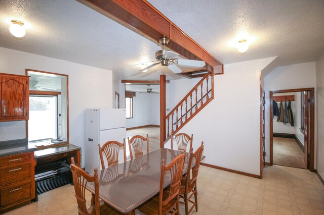 18848 223rd St, Richmond, MN 56368 - dining space featuring a wealth of natural light, a ceiling fan, and light floors