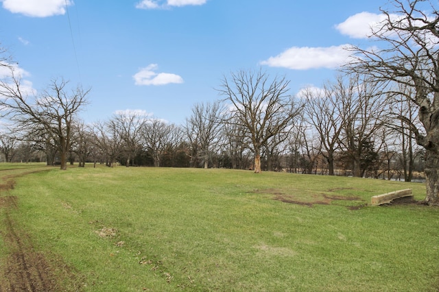 18848 223rd St, Richmond, MN 56368 - view of yard