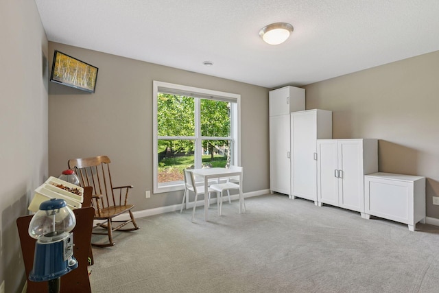 17607 64th Pl N, Maple Grove, MN 55311 - sitting room with light carpet and baseboards