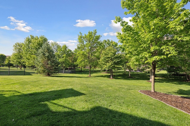17607 64th Pl N, Maple Grove, MN 55311 - view of yard with view of scattered trees