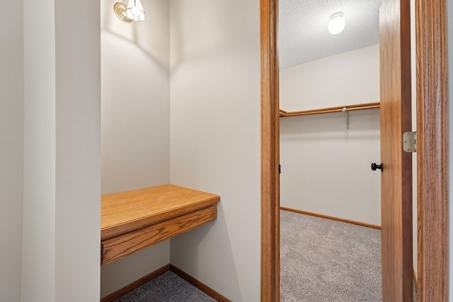 spacious closet featuring carpet floors