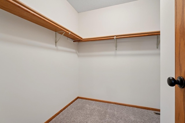 walk in closet featuring carpet floors
