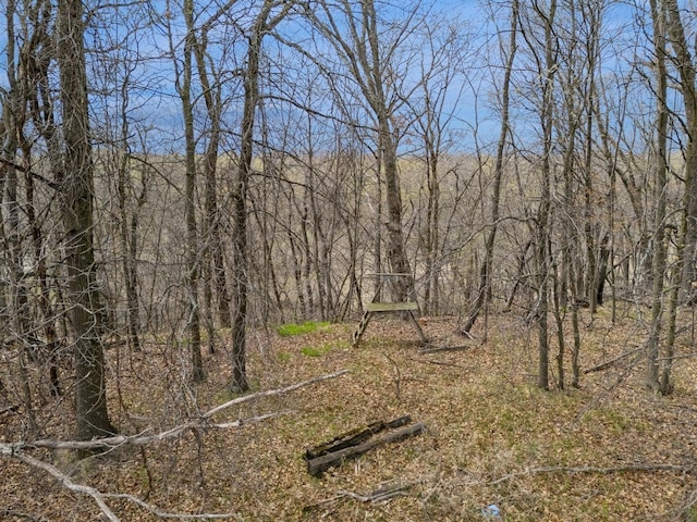view of nature featuring a forest view