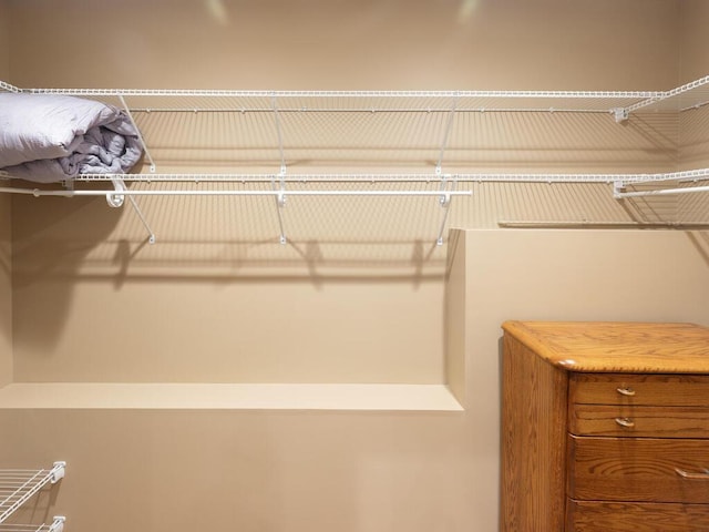 view of walk in closet