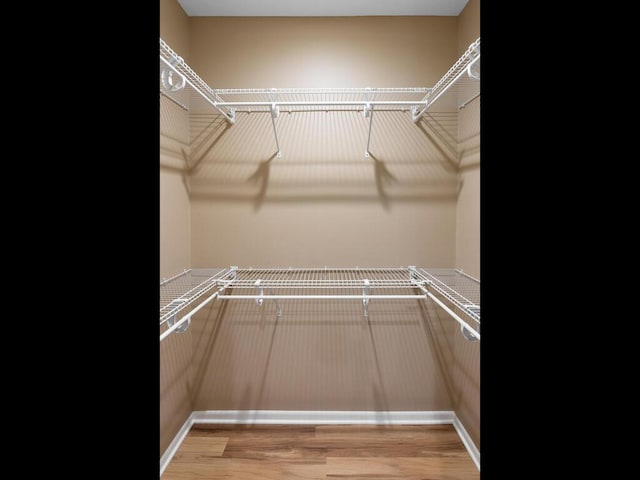 spacious closet with light wood finished floors