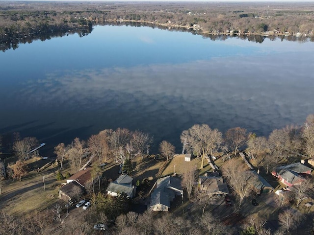 aerial overview of property's location with a large body of water and a forest