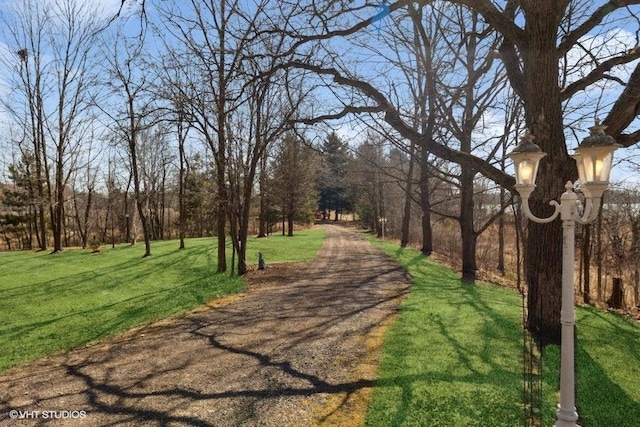 view of property's community with a yard