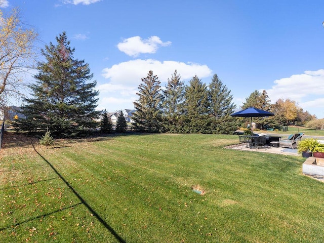 view of yard with a patio