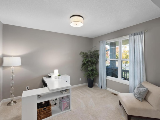 office area featuring a textured ceiling, light colored carpet, baseboards, and visible vents