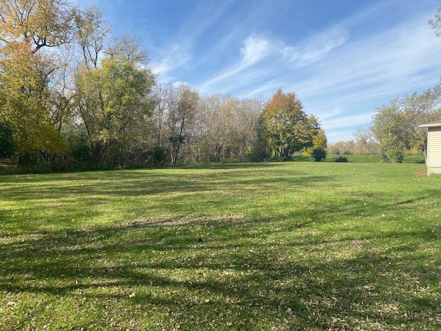 482 US Highway 12, Ortonville, MN 56278 - view of grassy yard