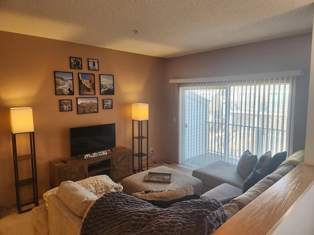 14494 Sumter Ave, Savage, MN 55378 - living area featuring a textured ceiling