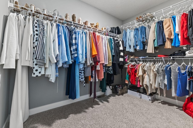 12678 Erskin St NE, Blaine, MN 55449 - walk in closet featuring carpet floors