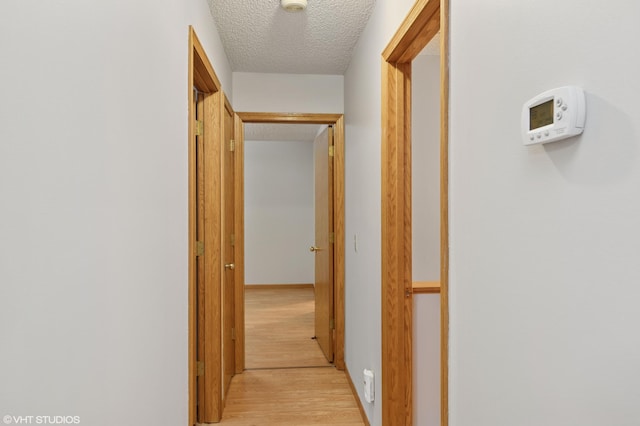 14242 Glencove Trl, Apple Valley, MN 55124 - photo 18