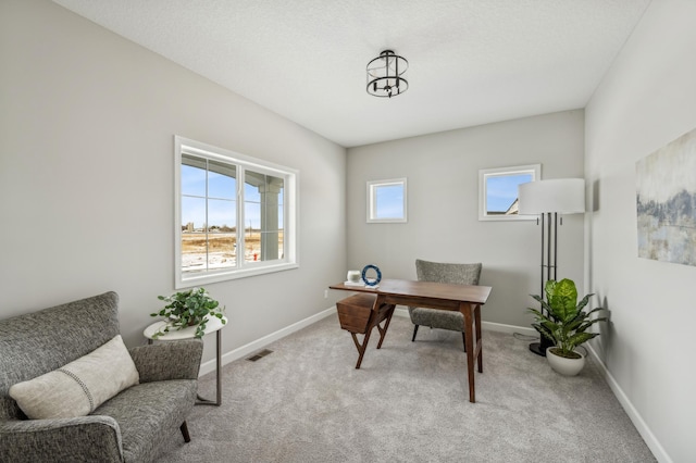 19993 Hunters Rdg, Corcoran, MN 55374 - office with light carpet and baseboards