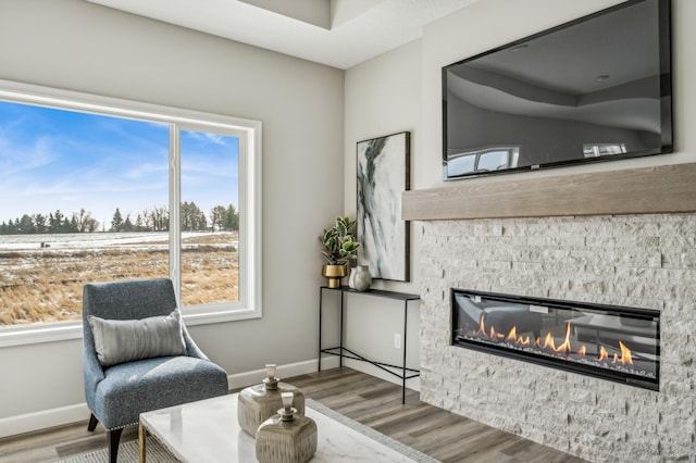 19993 Hunters Rdg, Corcoran, MN 55374 - sitting room featuring wood finished floors, a stone fireplace, and baseboards