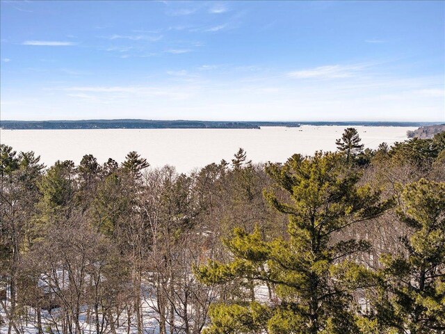 12141 Pinedale St, Crosslake, MN 56442 - photo 43