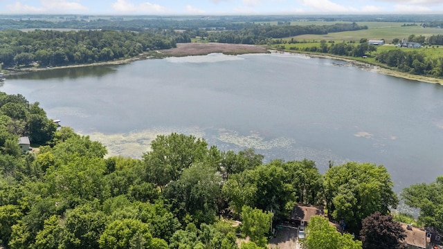 4963 Crofoot Ave NW, Buffalo, MN 55313 - bird's eye view of a large body of water and a forest